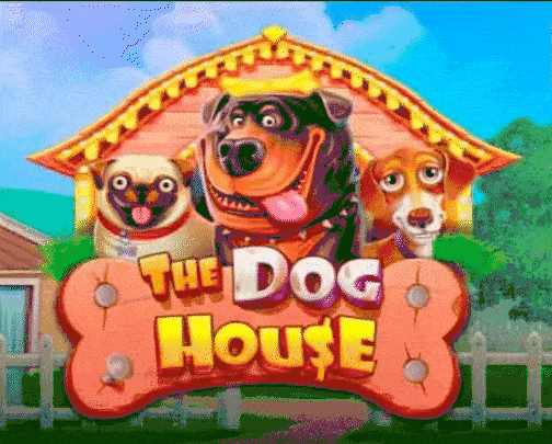 play the dog house in dragonia casino